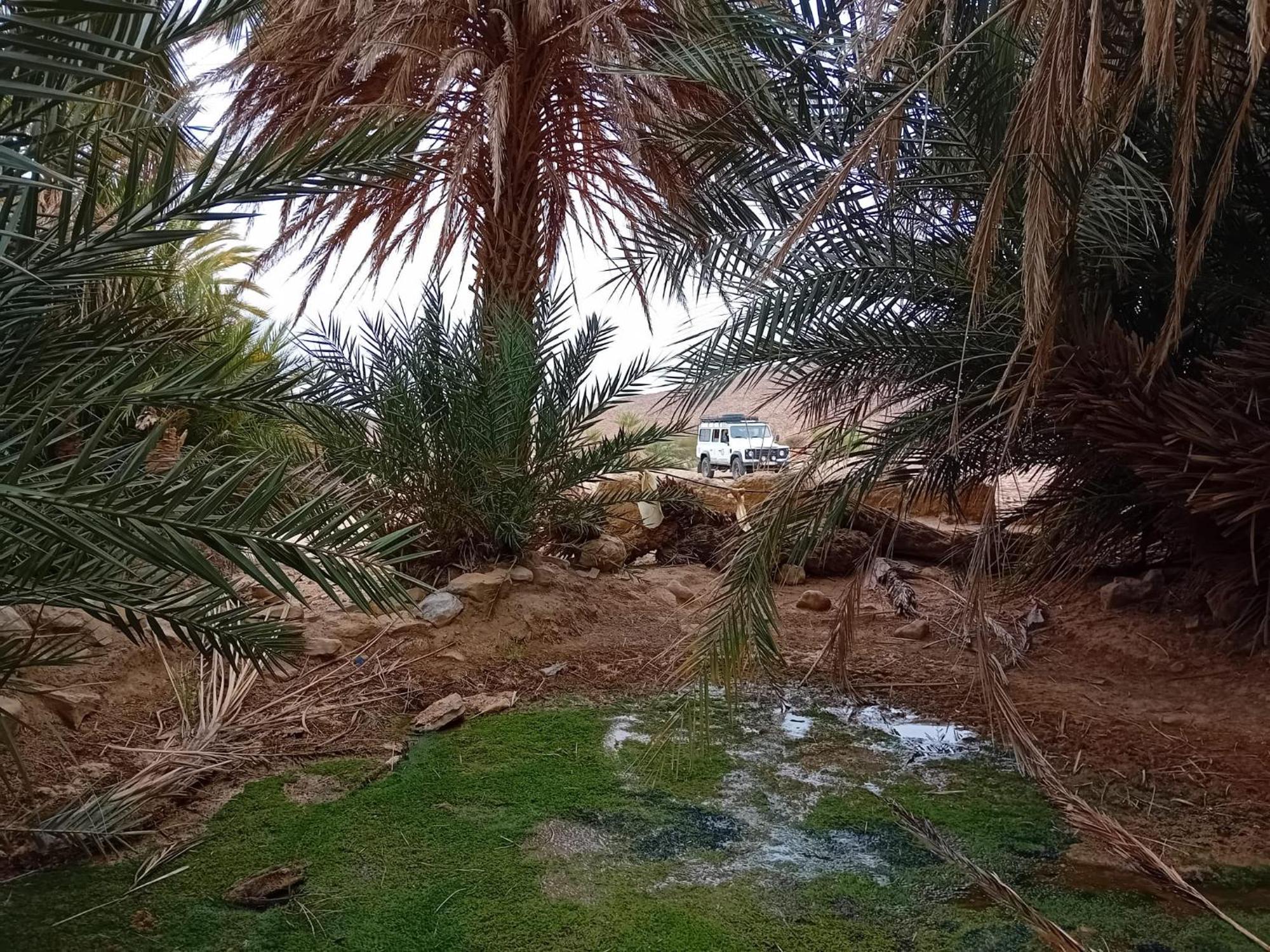 Bivouac Cote-Iriki Hotel Foum Zguid Екстериор снимка